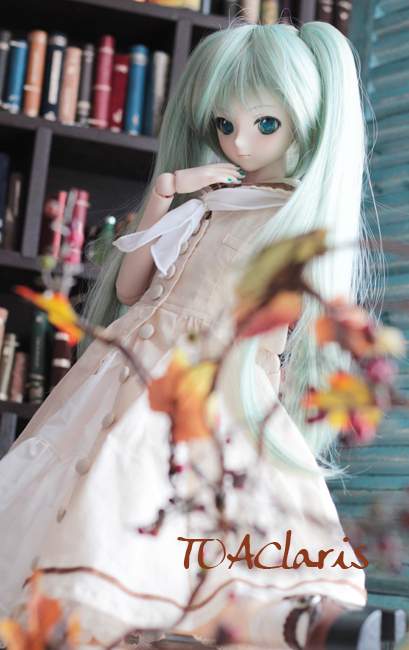 IMG_5315.png